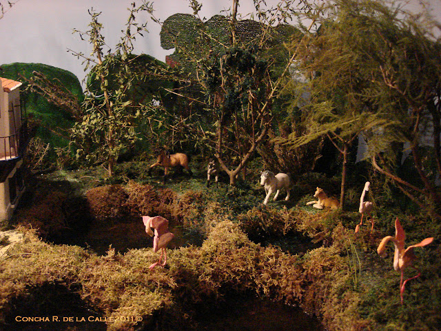 Belen Hdad. Rocio El Salvador - 2011 (20).JPG