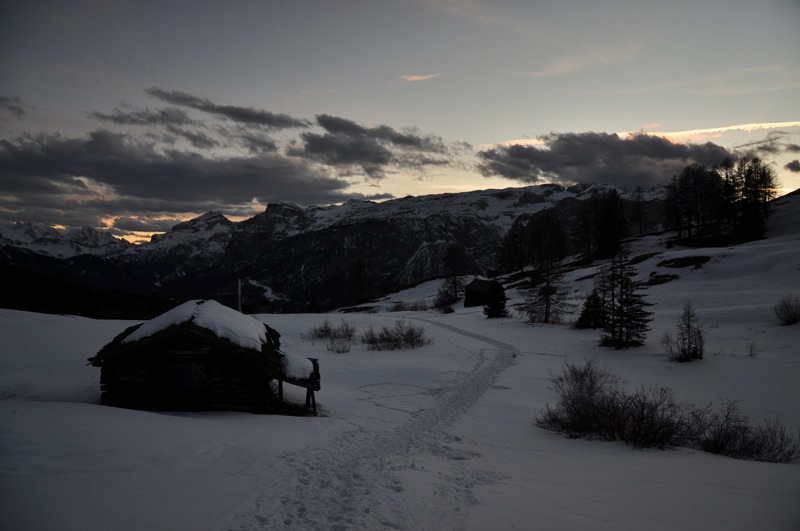 DSC_8316.JPG DSC 8316