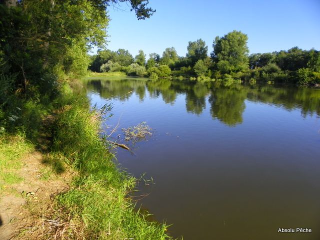 Loire rive droite en aval de Marclopt photo #1235