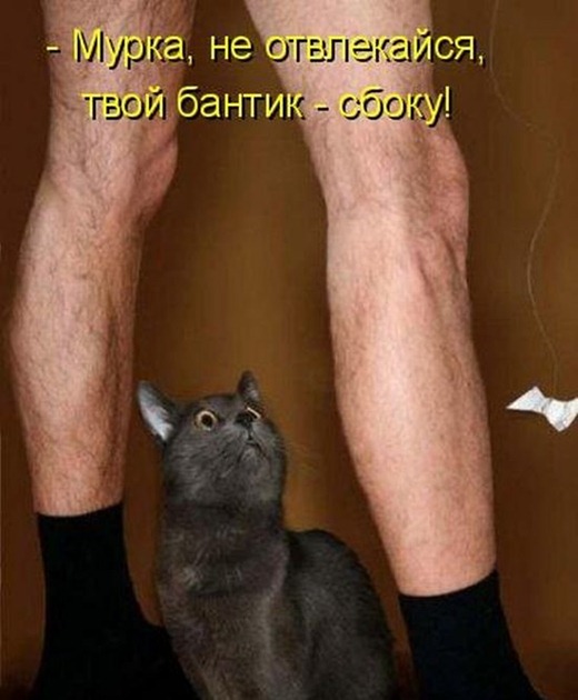 [kot-017%255B2%255D.jpg]