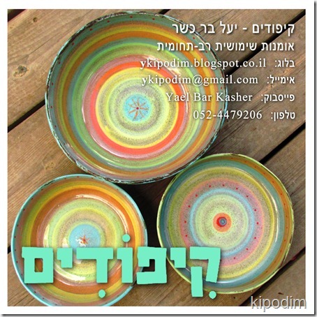 קיפודים כרטיס 10 על 10