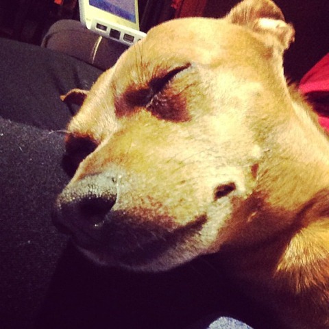 [Lui%2520%25C3%25A8%2520gi%25C3%25A1%2520stanco%2520di%2520Luned%25C3%25AC%2520mattina%2521%255B6%255D.jpg]