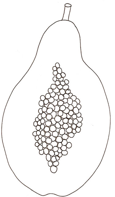 Dibujos De Papayas Para Colorear