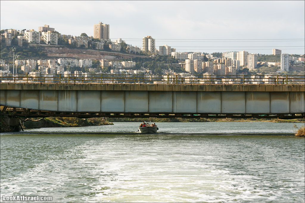 LookAtIsrael.com - Восстановление реки Кишон | Recovering Kishon river | שיחזור נחל קישון
