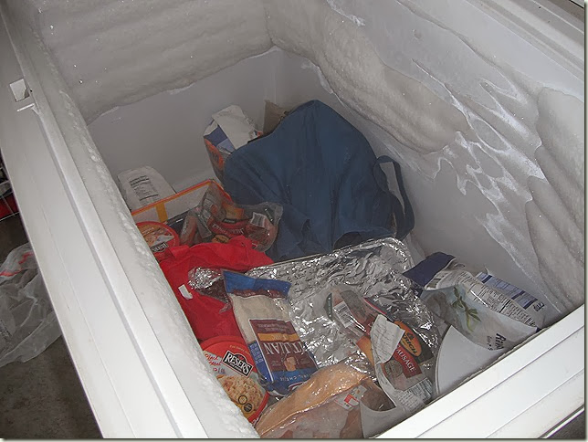 Freezer full of food and ice