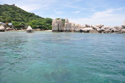 DSC_0308.JPG