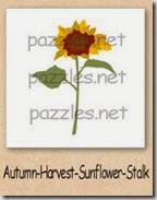 sunflower-200