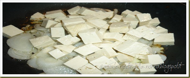 Tofu con cipollotto fresco e semi di sesamo (4)