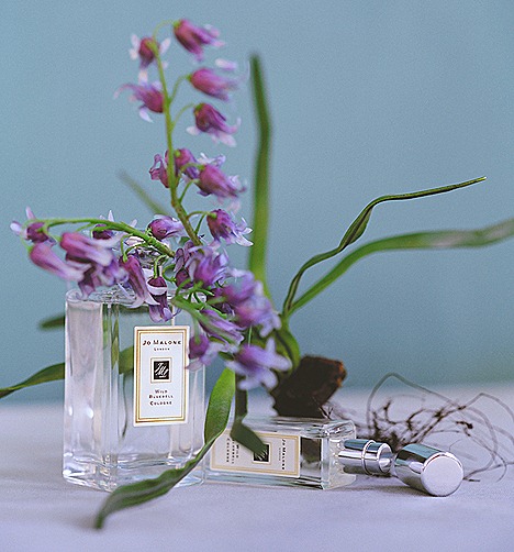 JO MALONE WILD BLUEBELL COLOGNE  REVIEW