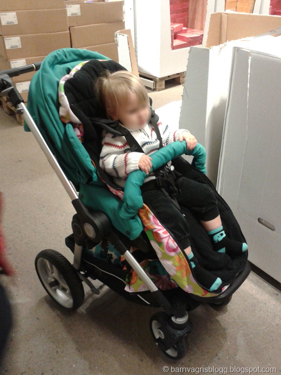 [2012-11-28-11b2.jpg]