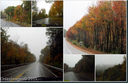 rainy day collage1014