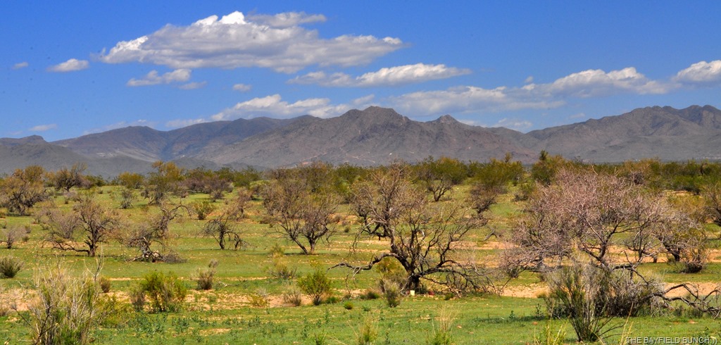 [DSC_0032%255B4%255D.jpg]