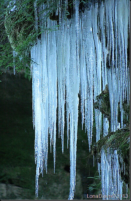 CF_Icicles2_Jan42013 CF_Icicles2_Jan42013