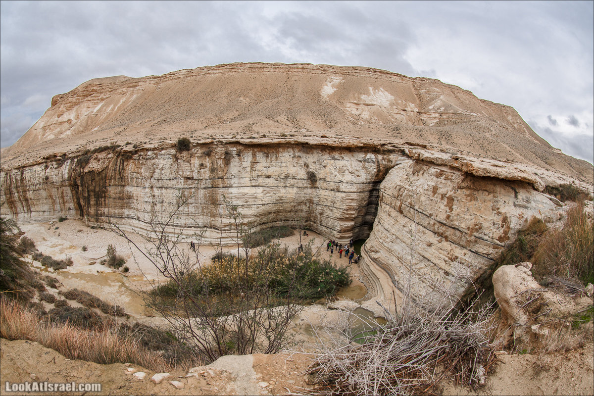 Ручей Акев и источник Эйн Акев в пустыне Негев. LookAtIsrael.com - Фото путешествия по Израилю