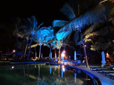 40, Palmieri albastrii.JPG