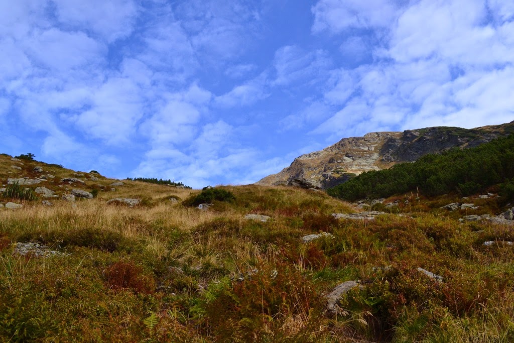 [DSC_01413.jpg]