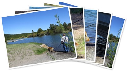 View album