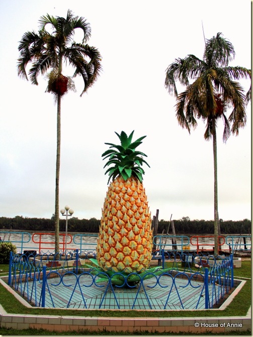 Sarikei Pineapple