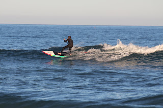 IMG_4335.JPG