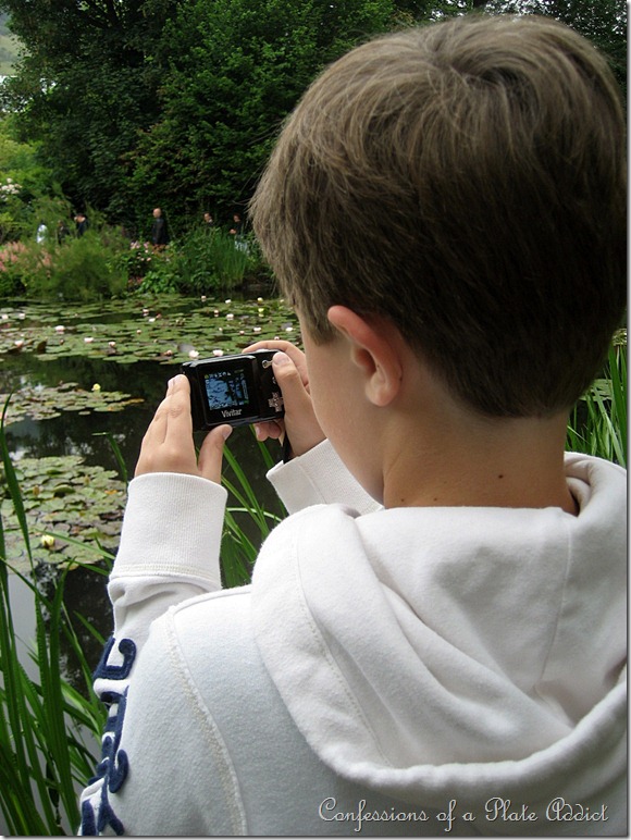photographing waterlilies
