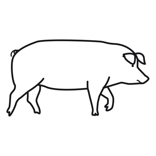 PIGS COLORING PAGES