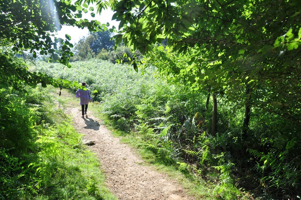 [Saratik-Zugarramurdira-kontrabandist%255B26%255D.jpg]