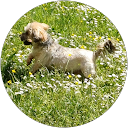 Image Google de Nora Barthelemy