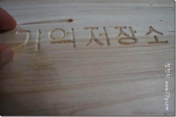 철천지DSC02413-20120531-144635