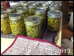 2013 greenbeans first canning