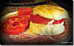 tomato biscuit