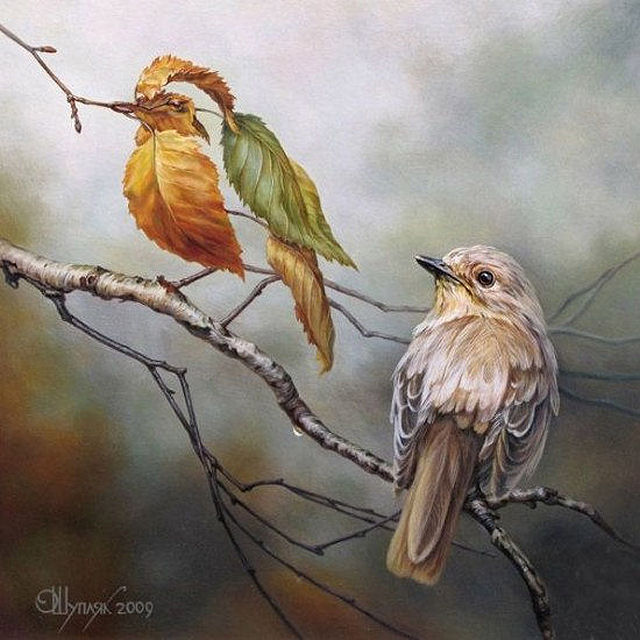 Oleg Shuplyak. - 19.jpg