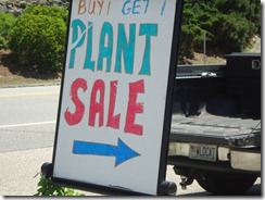SGC Plant Sale 2011 037