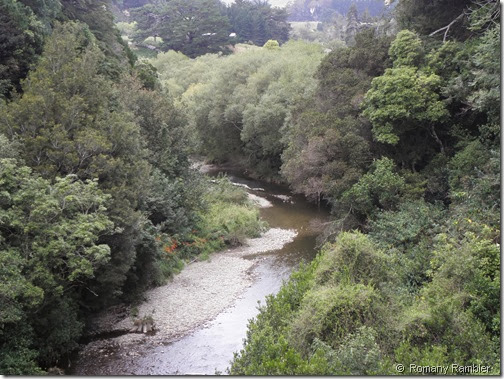 River Scene Ekatahuna