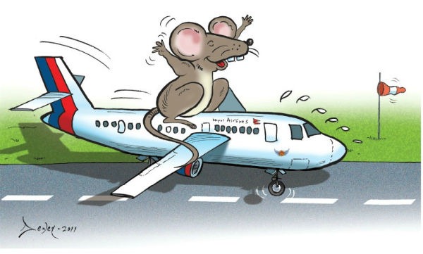 [musa-rat-in-nepal-airlines%255B5%255D.jpg]