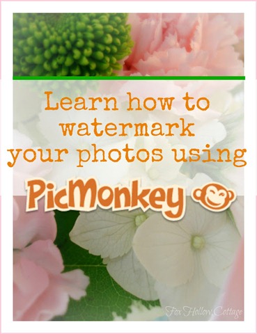 How To Watermark with PicMonkey