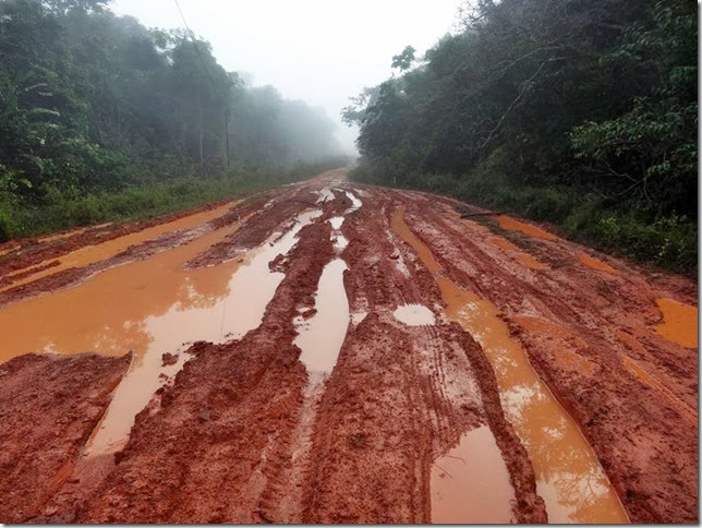 BR-319_Humaita_Manaus_Day_3_DSC05513