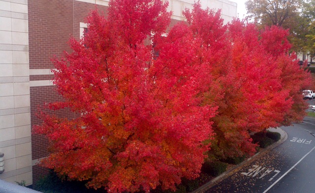 [20111110_124422_4474.jpg]