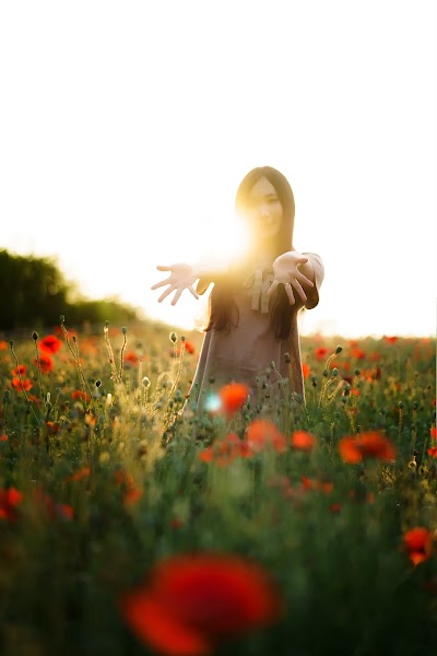 Bambi (밤비) Lacerta Photography