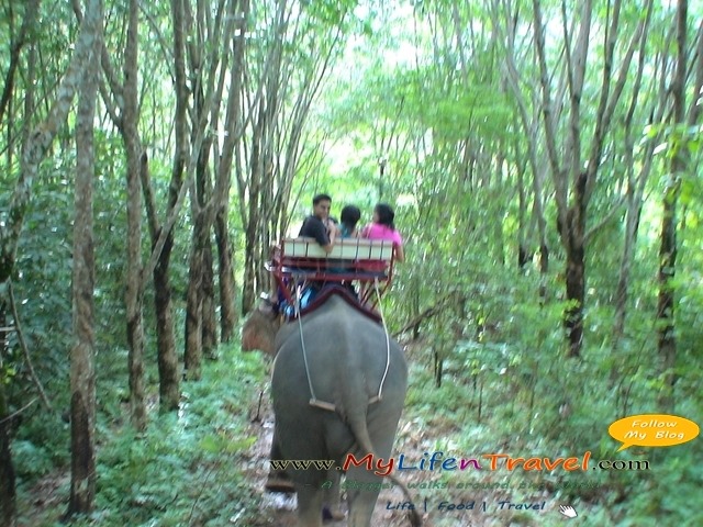 [Phuket-Rida-Elephant-022.jpg]