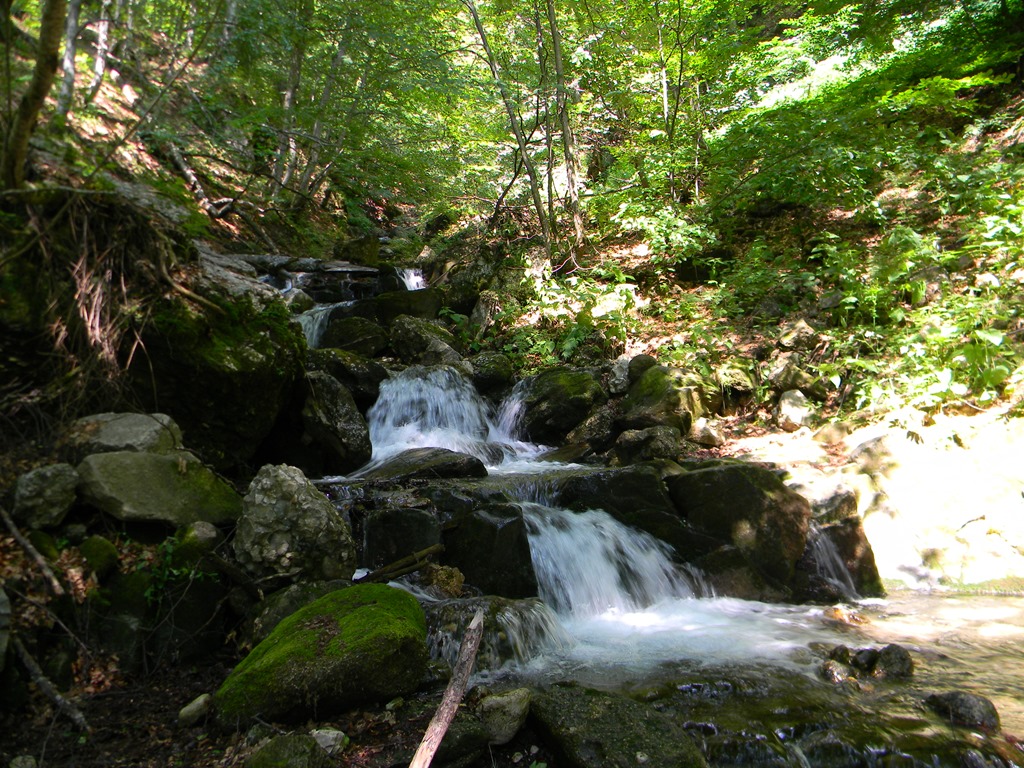 [DSCN32703.jpg]