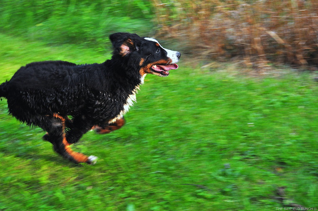 [DSC_0015%255B3%255D.jpg]