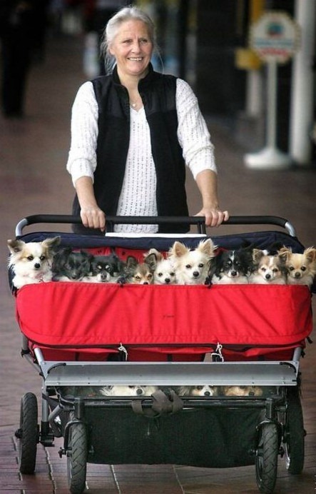 [2011-11-29_132603%255B9%255D.jpg]