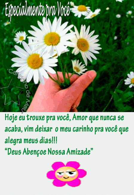 margaridaspravoce2.gif