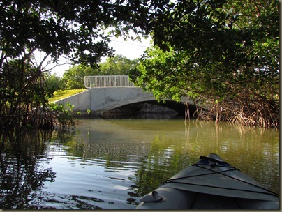 kayaking at Curry Hammock State Park, mangroves