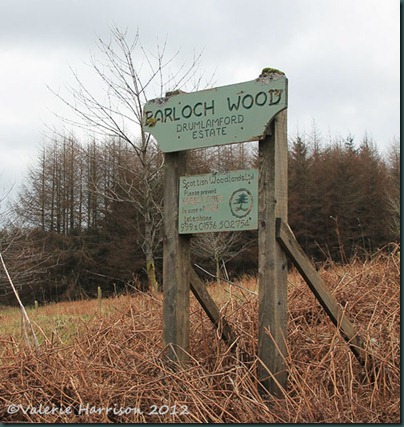 1-Barloch-wood-sign