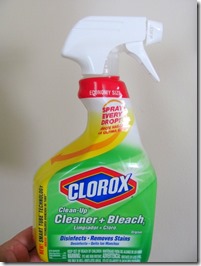 Clorox Clean up