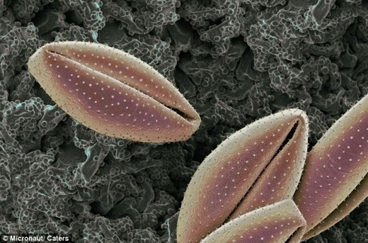 [clip_image014%255B5%255D%255B3%255D.jpg]