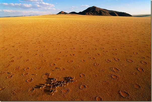 Mystérieux cercles de fées en Namibie (8)