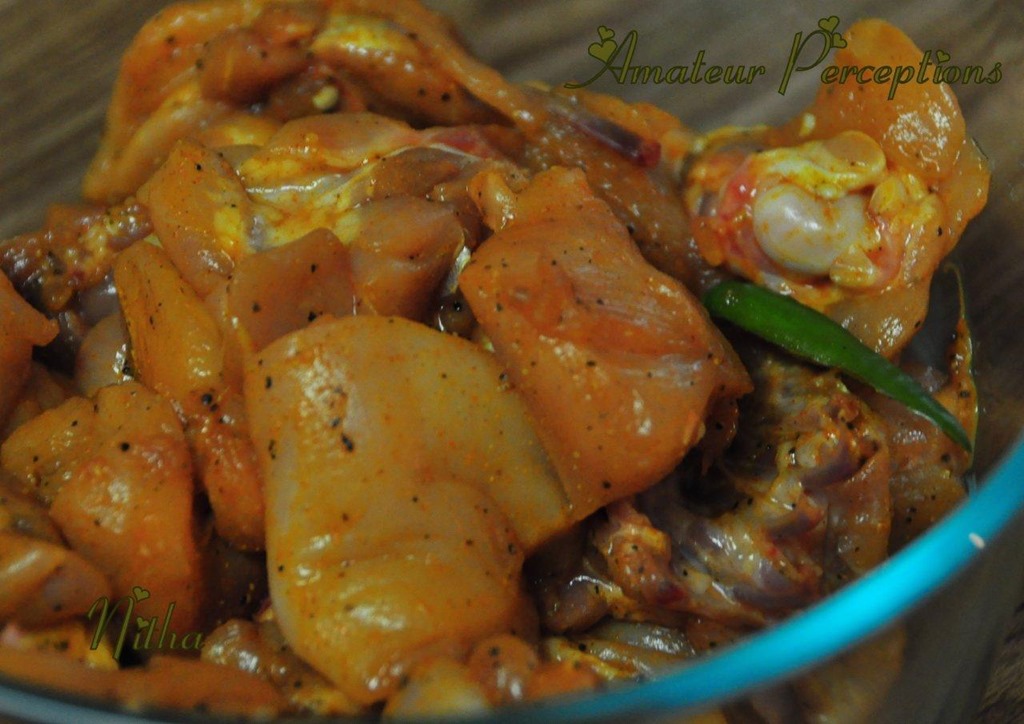 [Kerala-Chicken-Curry-0%255B10%255D.jpg]