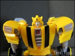 IDW Bumblebee